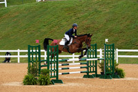 V6L02304
