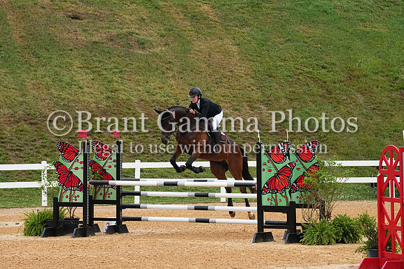 V6L02491