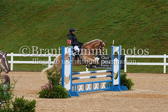 V6L05034