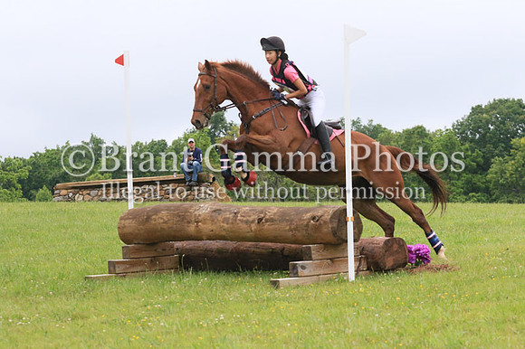 VS6B6550