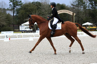 CI1B1683