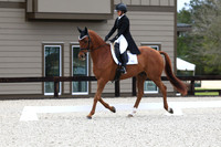 CI1B1689