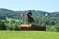 C6C_0379