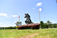 CGL_8183