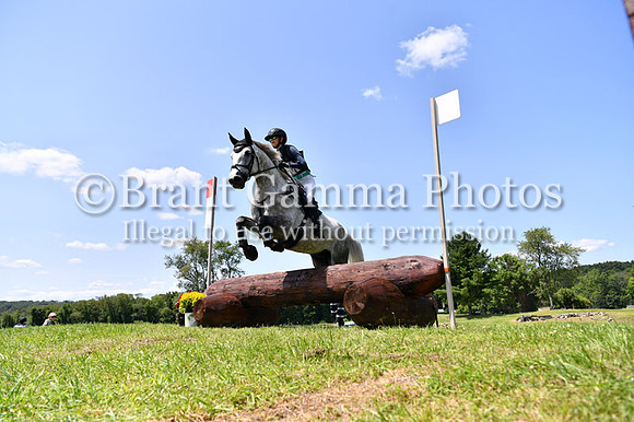 CGL_8184
