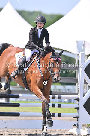 LTZ_3842