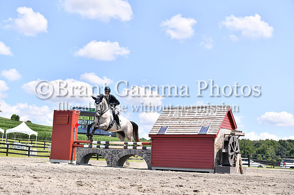 CGL_8931