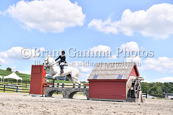 CGL_8994