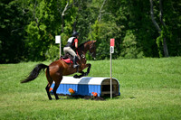 C6C_0690