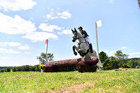 CGL_8262