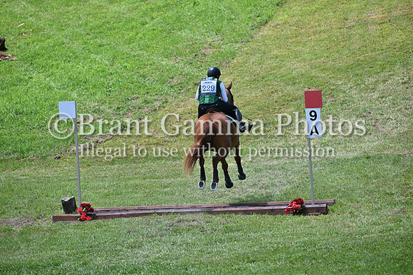 C6C_1059