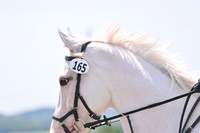 LTZ_4437