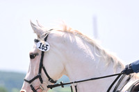 LTZ_4438