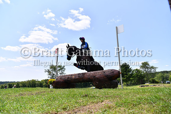 CGL_8311