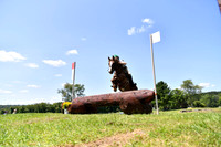 CGL_8179