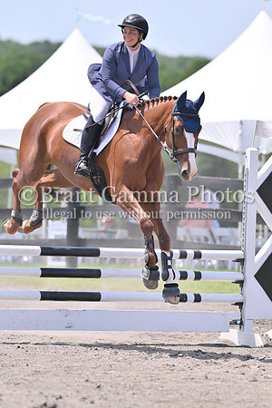 LTZ_4830