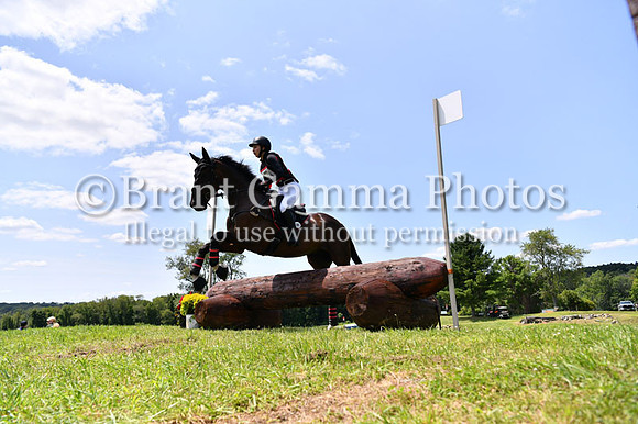 CGL_8266