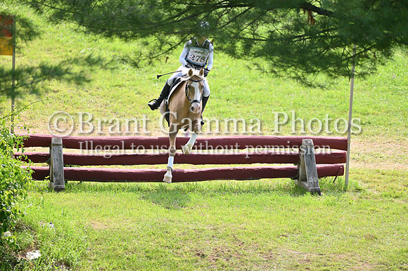 LTZ_2015