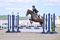 Chumley.Lauren.Savannah Lion.OBN-A.mb6