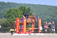 Cooper.Emily.Swifts Shandy.OBN-B.mb6