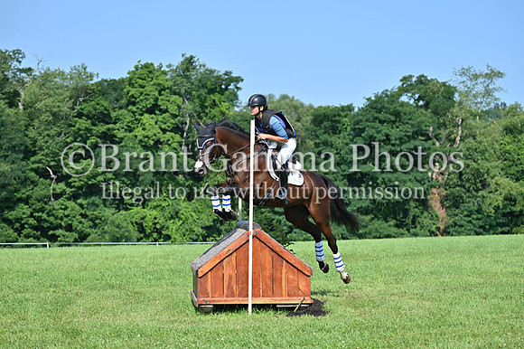 C6C_2013