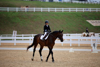 Dressage