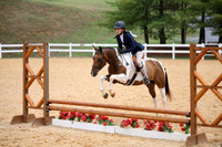 Hunters over fences