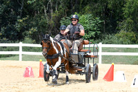 Driving Derby