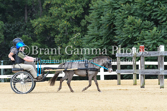 CGS_4993