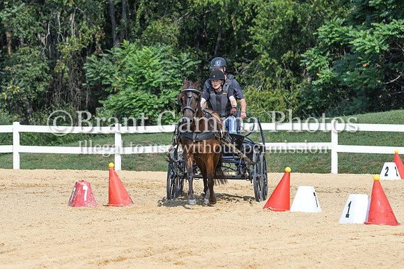 CGS_5377