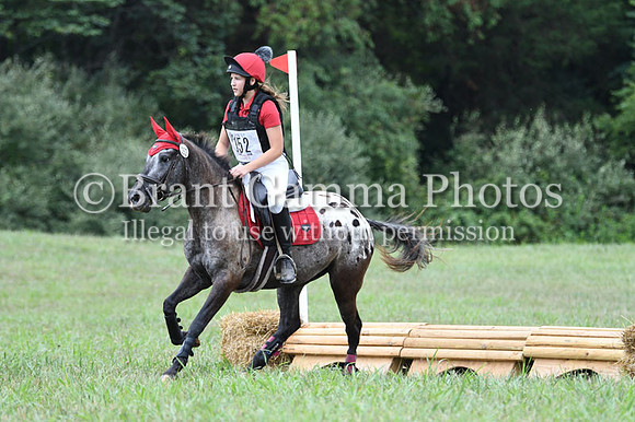 CGS_3935