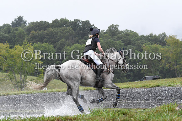 CGS_2976