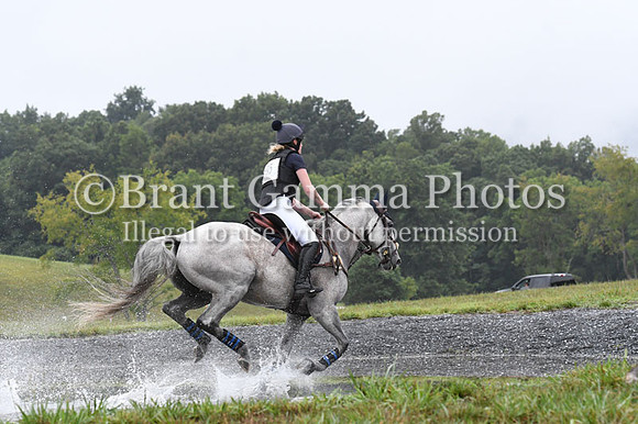 CGS_2975