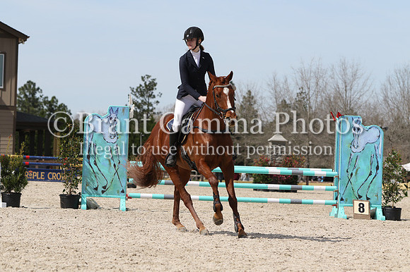 SP3Q2007