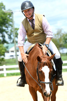 Working Equitation