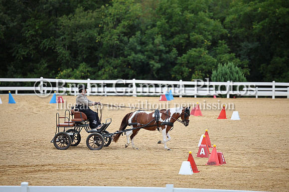 CG6T1357