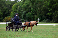 CG6T0827