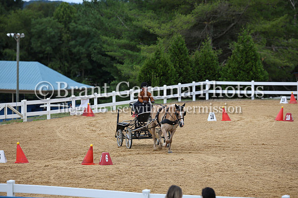 CG6T1273