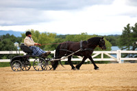 aCG6T1331