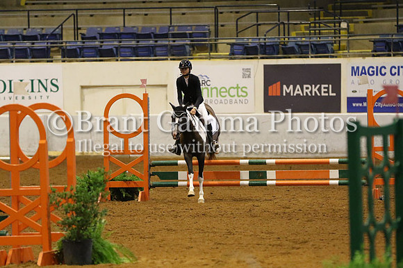 CGQ60113