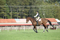 SP3Z1686