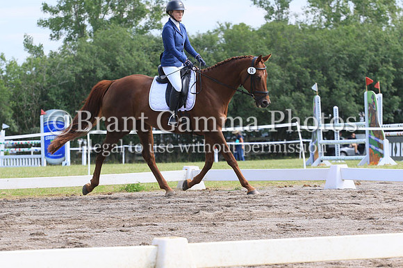 GV6B1101