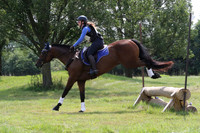 Vidro.Allison.Go Hippo Go.STARTH.gv6