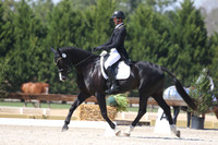 CI3E1509