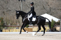 CI3E1519