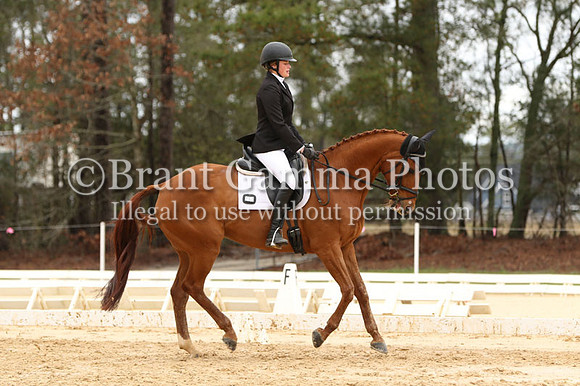 CI3Q4534