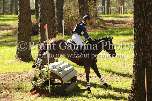CI3Z9553