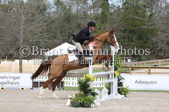 CI3L2253