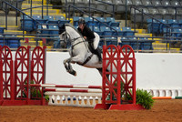 116.Nuckols Dugan.Tori.CG6