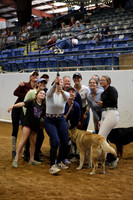 CG6T2951